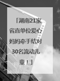 湖南21家省直单位爱心妈妈牵手结对30名流动儿童！