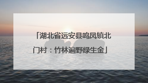 湖北省远安县鸣凤镇北门村：竹林遍野绿生金