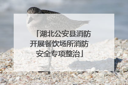 湖北公安县消防开展餐饮场所消防安全专项整治