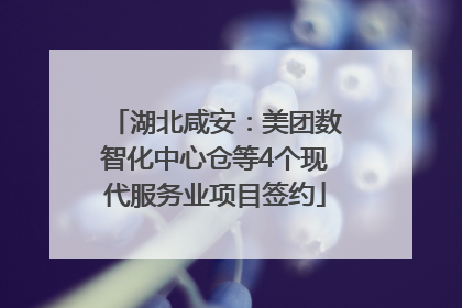 湖北咸安：美团数智化中心仓等4个现代服务业项目签约
