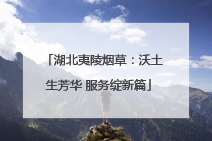 湖北夷陵烟草：沃土生芳华 服务绽新篇
