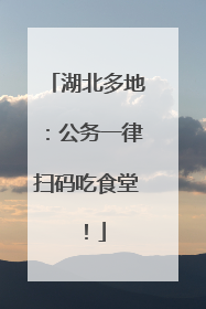 湖北多地：公务一律扫码吃食堂！