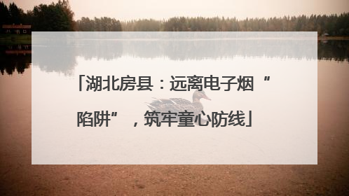 湖北房县：远离电子烟“陷阱”，筑牢童心防线
