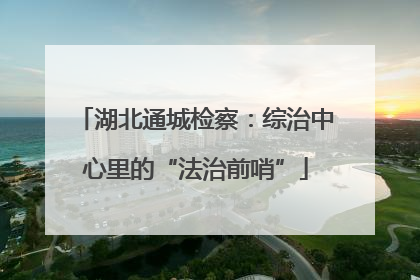 湖北通城检察：综治中心里的“法治前哨”