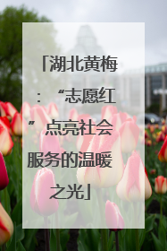 湖北黄梅：“志愿红”点亮社会服务的温暖之光