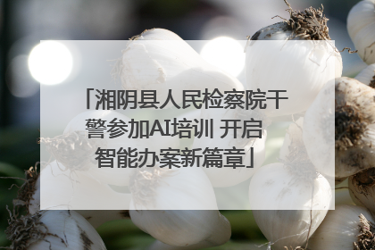 湘阴县人民检察院干警参加AI培训 开启智能办案新篇章