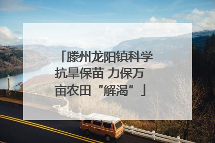 滕州龙阳镇科学抗旱保苗 力保万亩农田“解渴”