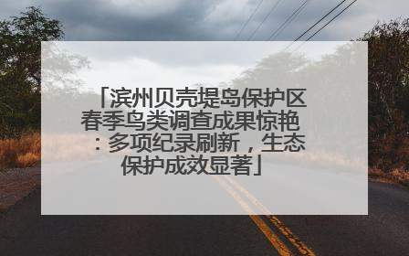 滨州贝壳堤岛保护区春季鸟类调查成果惊艳：多项纪录刷新，生态保护成效显著