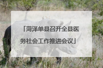 菏泽单县召开全县医务社会工作推进会议