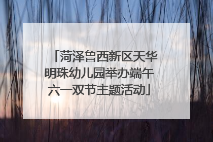 菏泽鲁西新区天华明珠幼儿园举办端午六一双节主题活动