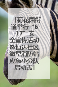 荷花园街道举行“6·17”安全宣传活动暨恒达社区微型消防站应急小分队启动式