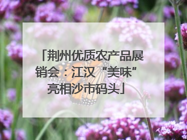 荆州优质农产品展销会：江汉“美味”亮相沙市码头