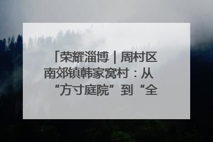 荣耀淄博｜周村区南郊镇韩家窝村：从“方寸庭院”到“全域文明”，乡村振兴的“美学革命”