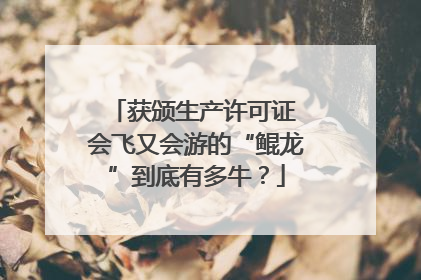 获颁生产许可证 会飞又会游的“鲲龙”到底有多牛？