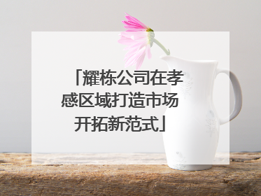 耀栋公司在孝感区域打造市场开拓新范式