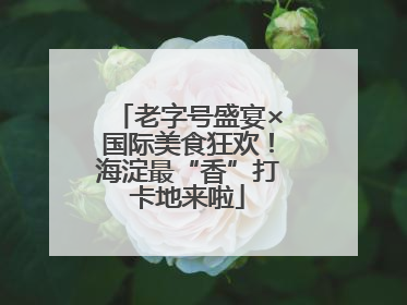老字号盛宴×国际美食狂欢！海淀最“香”打卡地来啦