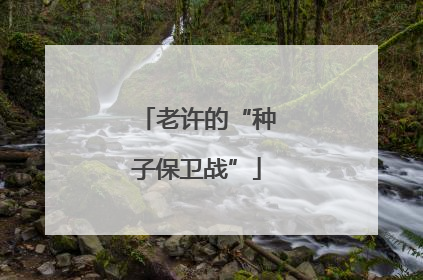 老许的“种子保卫战”