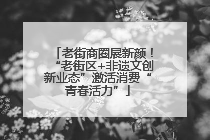 老街商圈展新颜！“老街区+非遗文创新业态”激活消费“青春活力”