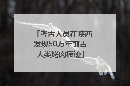 考古人员在陕西发现50万年前古人类烤肉痕迹