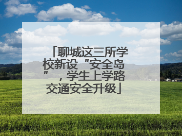 聊城这三所学校新设“安全岛”，学生上学路交通安全升级