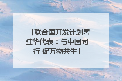 联合国开发计划署驻华代表：与中国同行 促万物共生