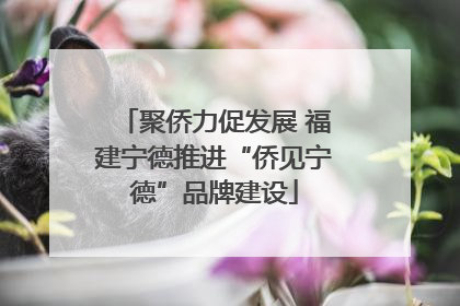 聚侨力促发展 福建宁德推进“侨见宁德”品牌建设