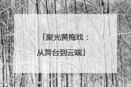 聚光黄梅戏：从舞台到云端