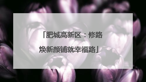 肥城高新区：修路焕新颜铺就幸福路
