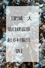 肥城：大项目建设串起乡村振兴链