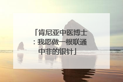 肯尼亚中医博士：我愿做一根联通中非的银针