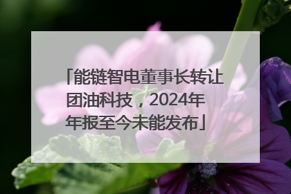 能链智电董事长转让团油科技，2024年年报至今未能发布