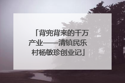 背兜背来的千万产业——清镇民乐村杨敏珍创业记