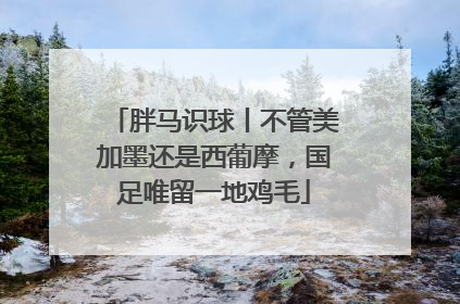 胖马识球丨不管美加墨还是西葡摩，国足唯留一地鸡毛