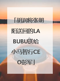 胡润将张朝阳送回的LABUBU送给小马智行CEO彭军