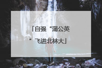 自强“蒲公英”飞进北林大