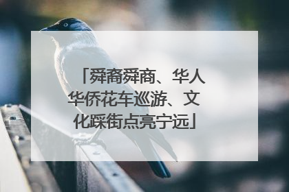 舜裔舜商、华人华侨花车巡游、文化踩街点亮宁远