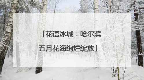 花语冰城：哈尔滨五月花海绚烂绽放