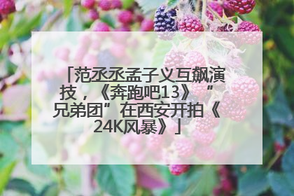 范丞丞孟子义互飙演技，《奔跑吧13》“兄弟团”在西安开拍《24K风暴》