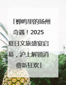 蝉鸣里的扬州奇遇！2025夏日文旅盛宴启幕，沪上解锁消费新狂欢