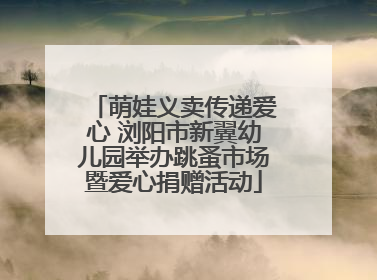 萌娃义卖传递爱心 浏阳市新翼幼儿园举办跳蚤市场暨爱心捐赠活动