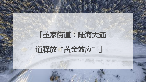 董家街道：陆海大通道释放“黄金效应”