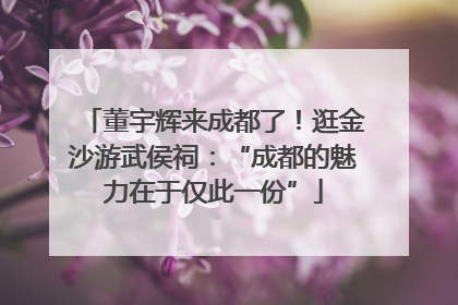 董宇辉来成都了！逛金沙游武侯祠：“成都的魅力在于仅此一份”