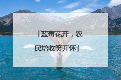 蓝莓花开，农民增收笑开怀