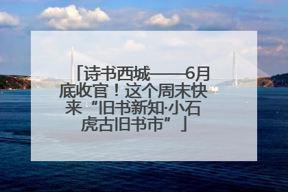 诗书西城——6月底收官！这个周末快来“旧书新知·小石虎古旧书市”