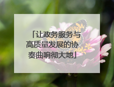 让政务服务与高质量发展的协奏曲响彻大地