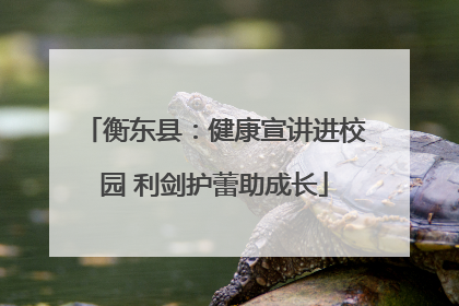 衡东县：健康宣讲进校园 利剑护蕾助成长