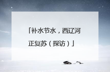 补水节水，西辽河正复苏（探访）