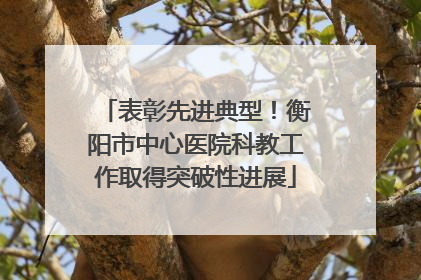 表彰先进典型！衡阳市中心医院科教工作取得突破性进展
