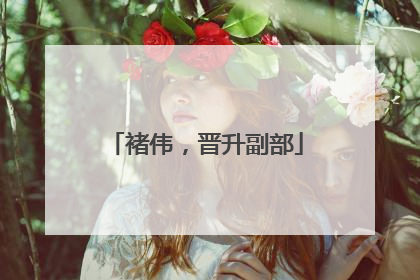 褚伟，晋升副部