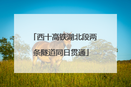 西十高铁湖北段两条隧道同日贯通
